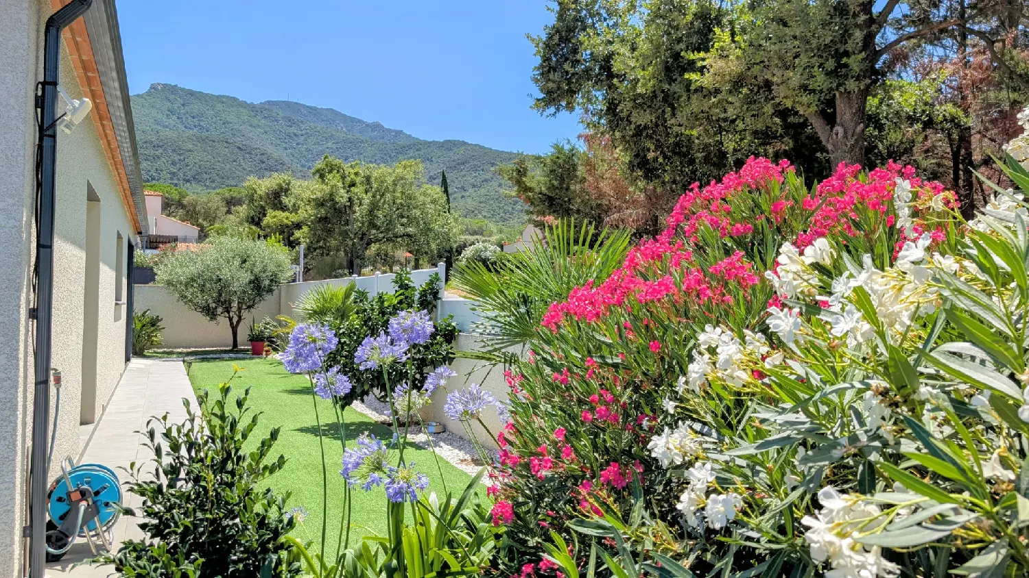  te koop villa Laroque-des-Albères Pyrénées-Orientales 1