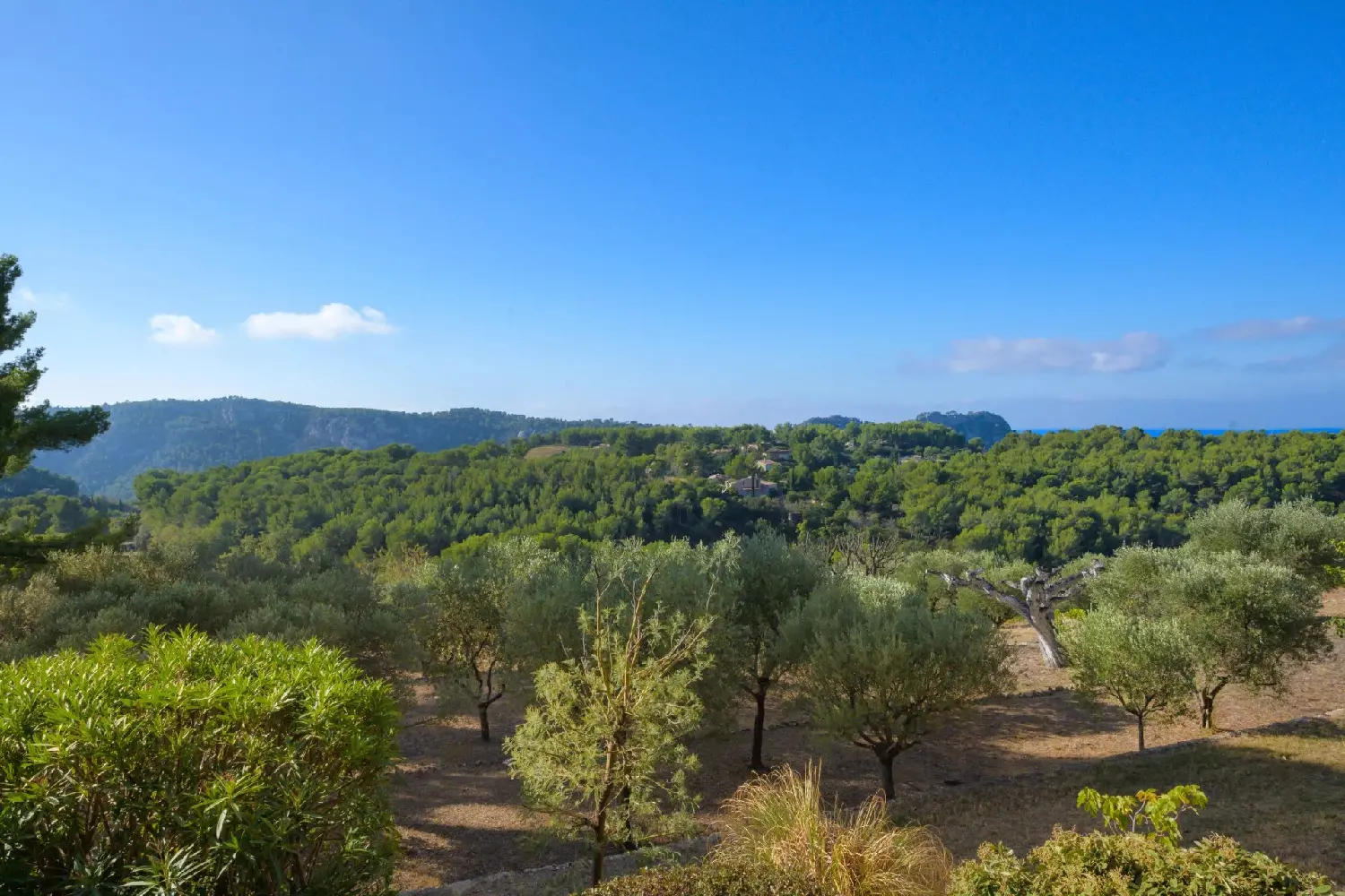  à vendre villa Le Beausset Var 5