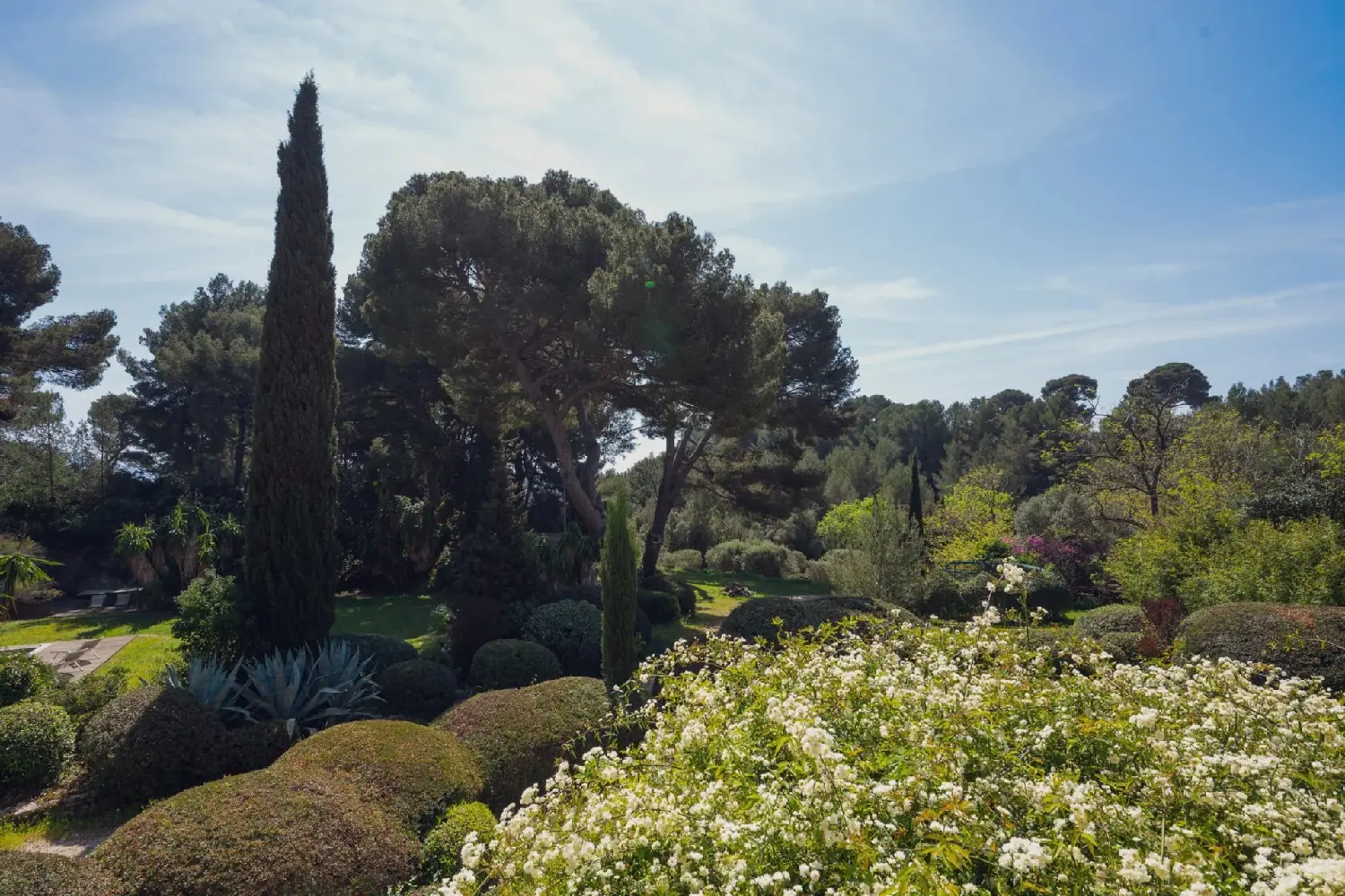  à vendre villa Le Pradet Var 7