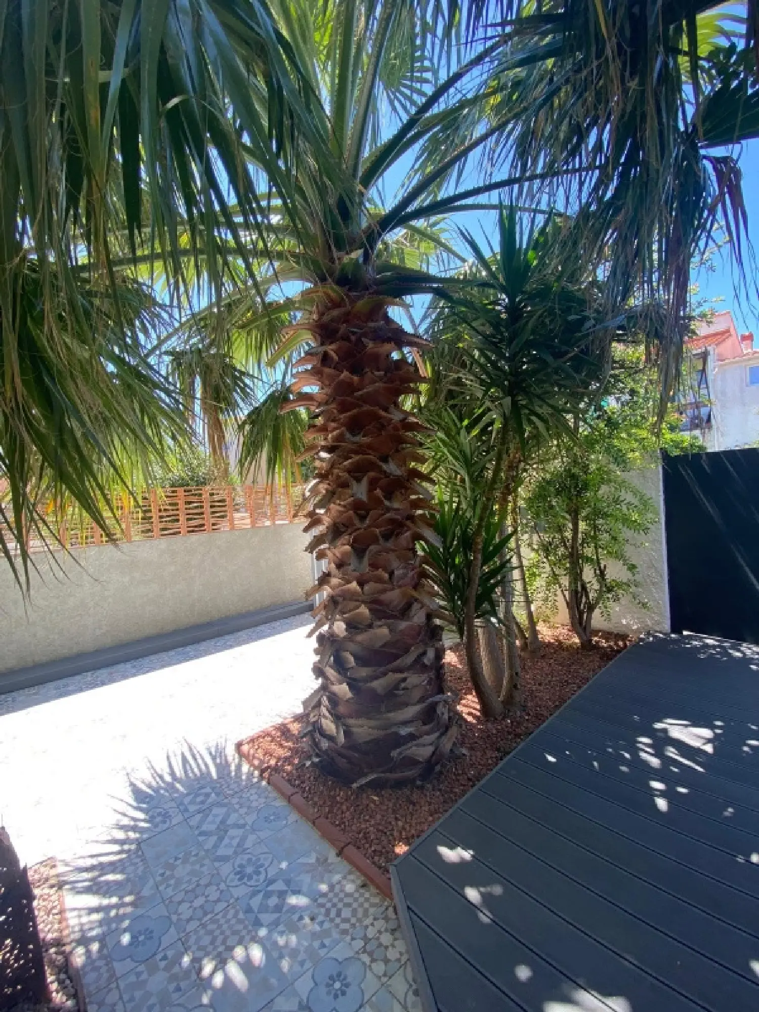  te koop villa Montescot Pyrénées-Orientales 2