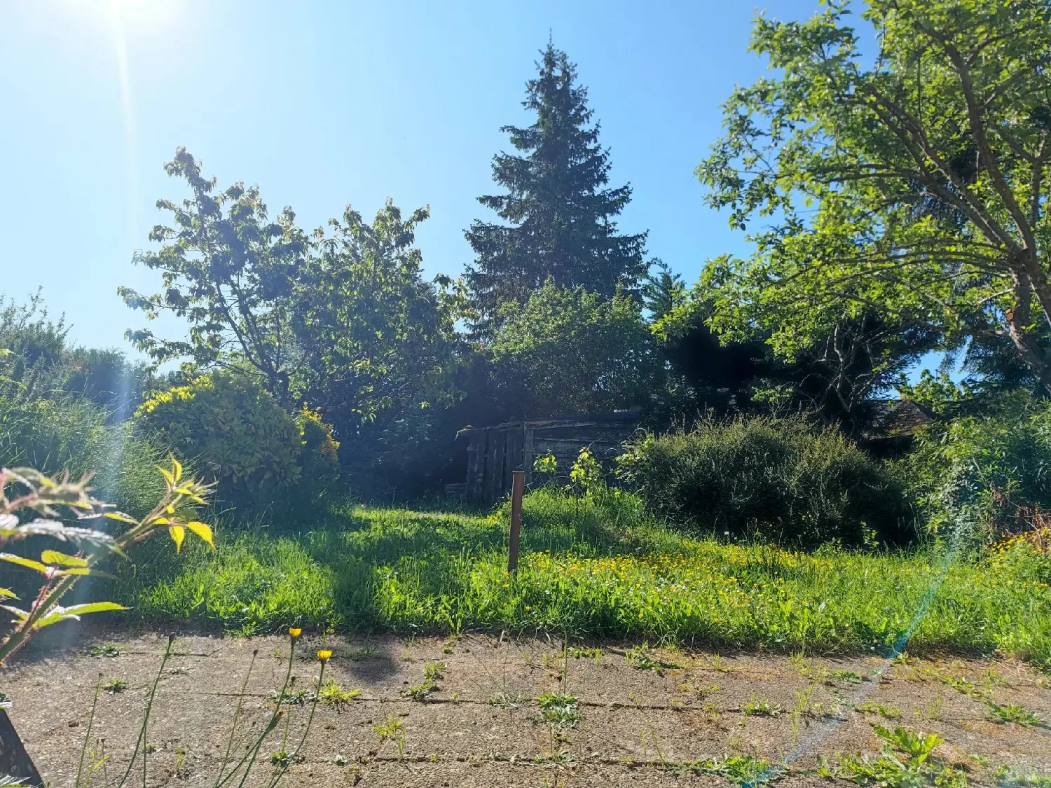  à vendre villa Montigny-sur-Canne Nièvre 4