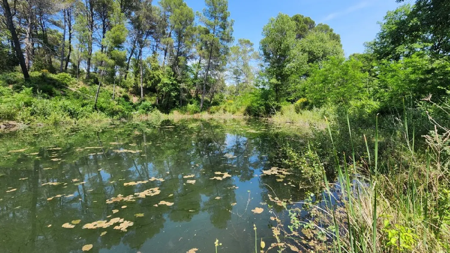  te koop villa Salernes Var 7