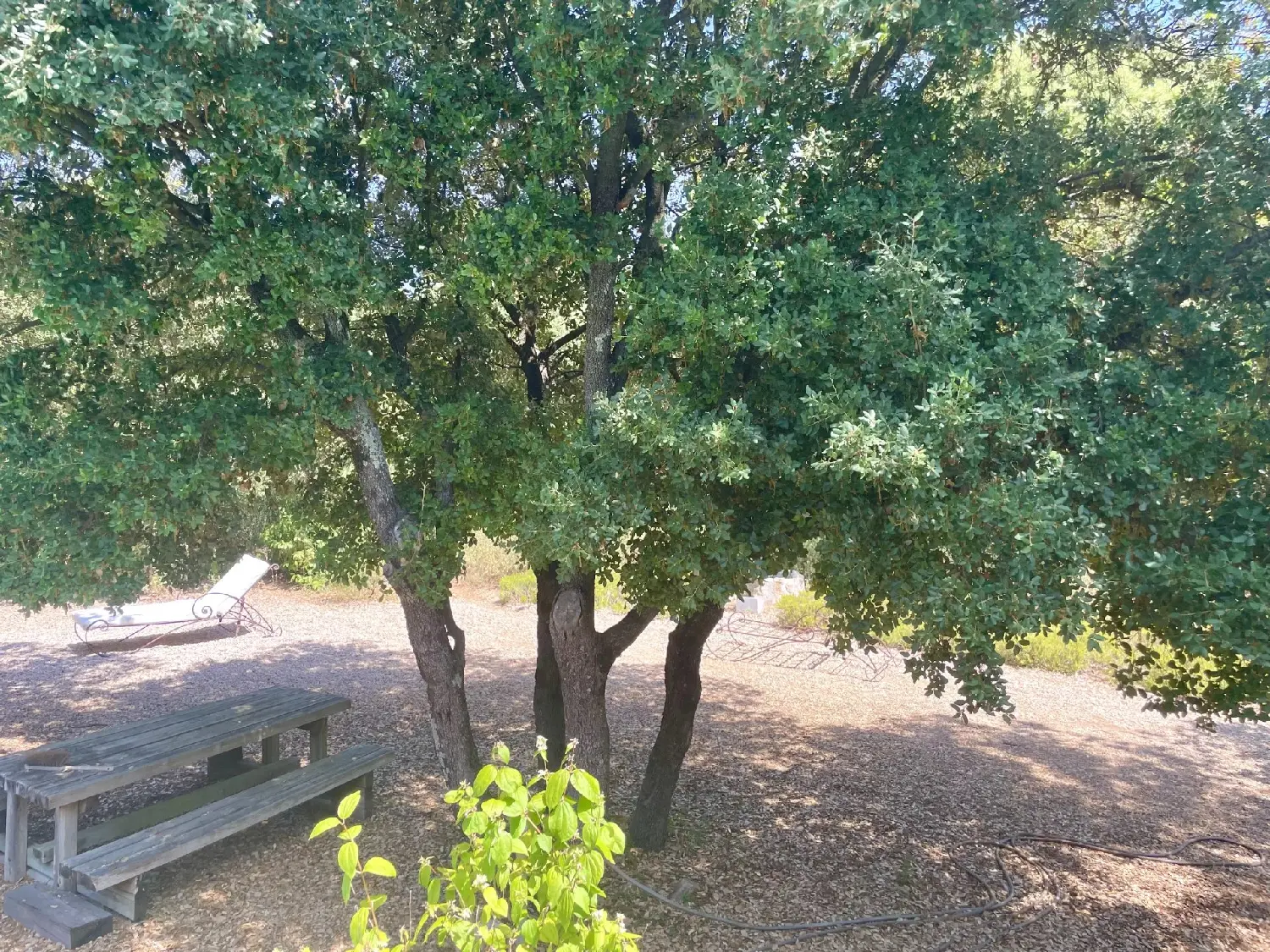  te koop villa Sillans-la Cascade Var 7