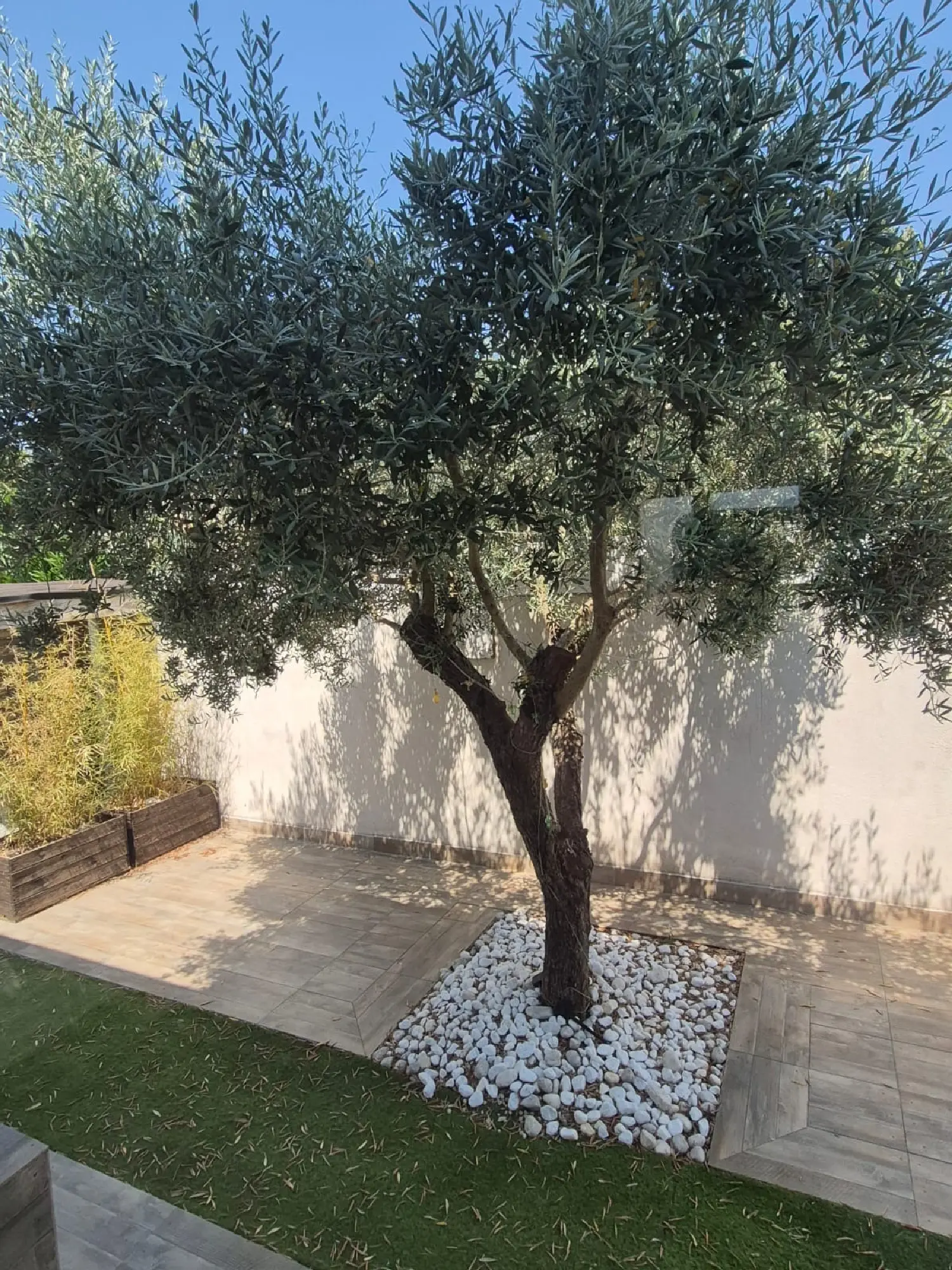  à vendre villa Vergèze Gard 4