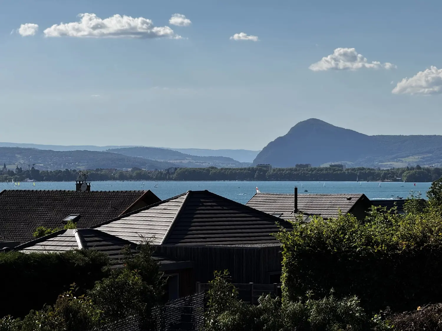  te koop villa Veyrier-du-Lac Haute-Savoie 2