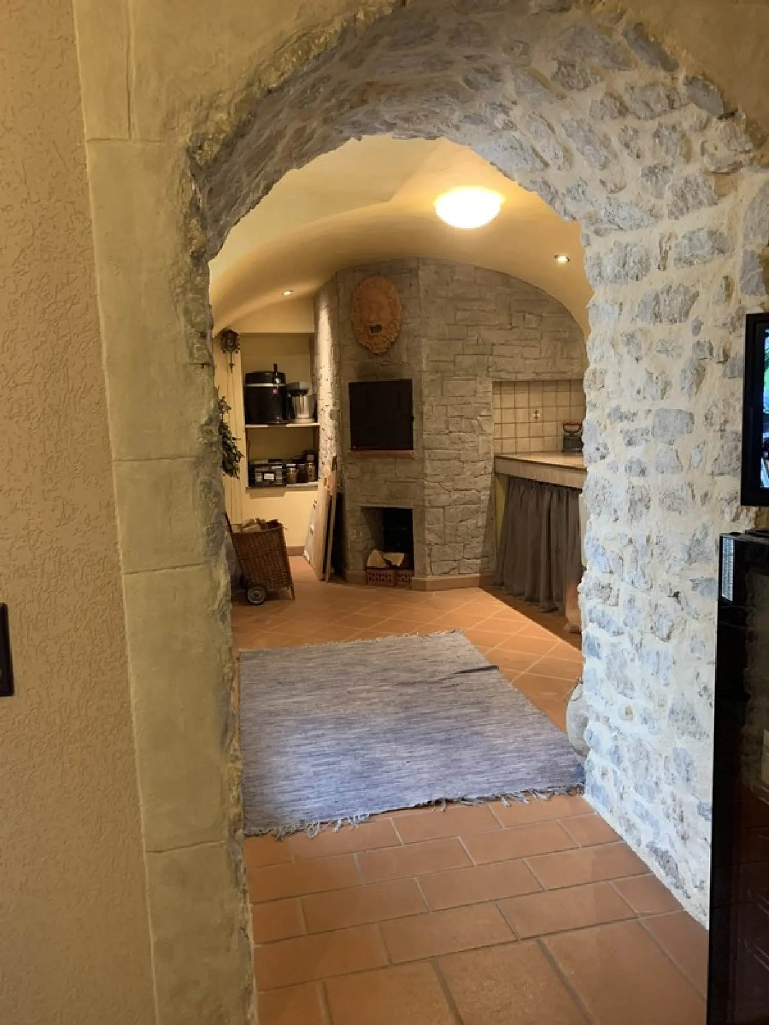  kaufen Dorfhaus Corbonod Ain 8