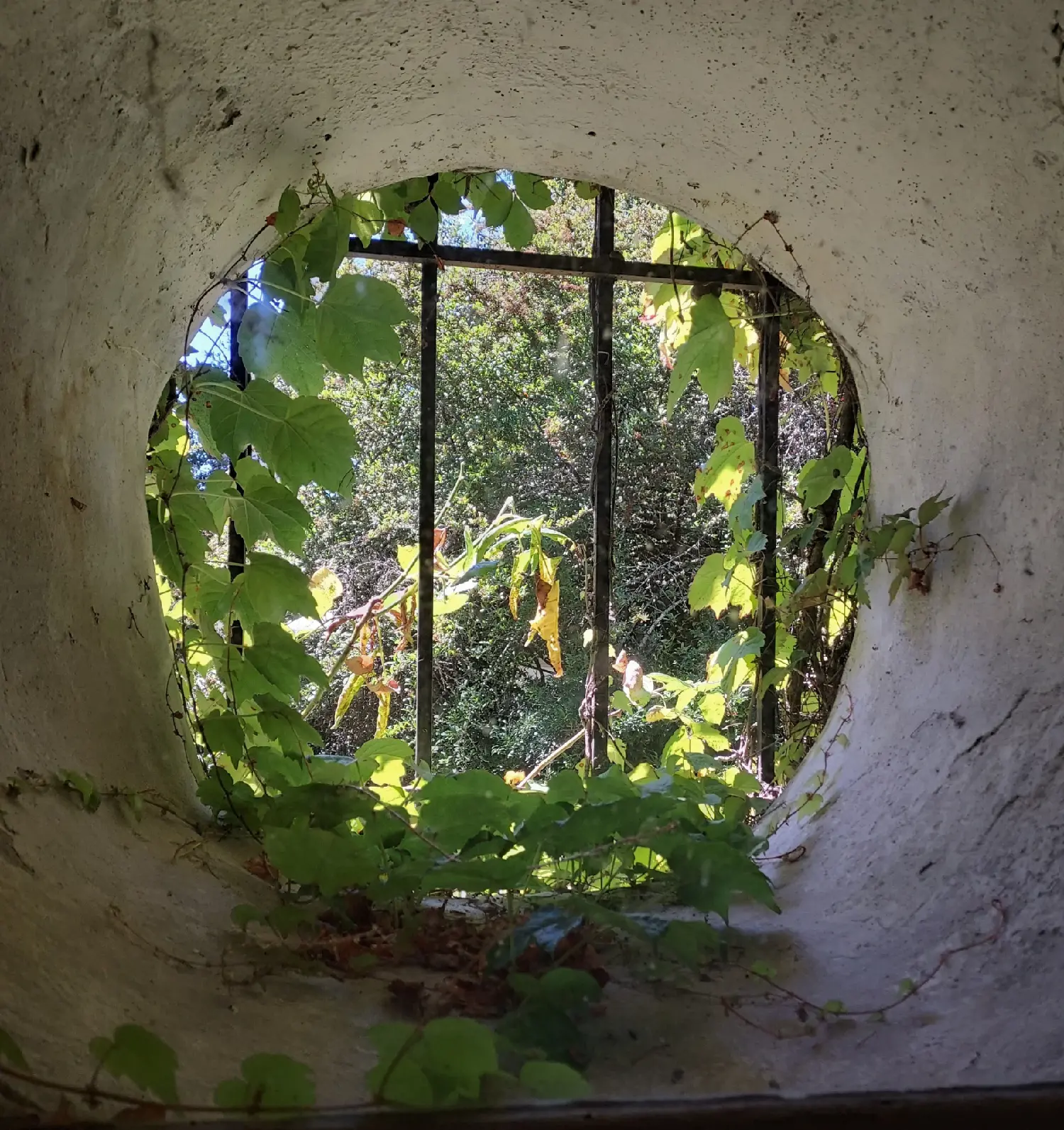  en venta casa de pueblo Cursan Gironde 8
