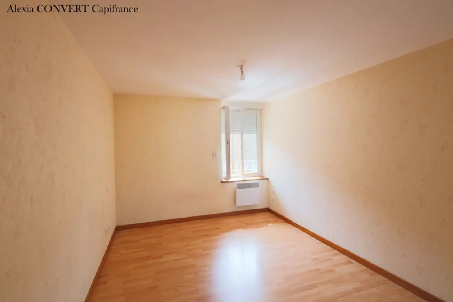  te koop dorpshuis Foissiat Ain 3