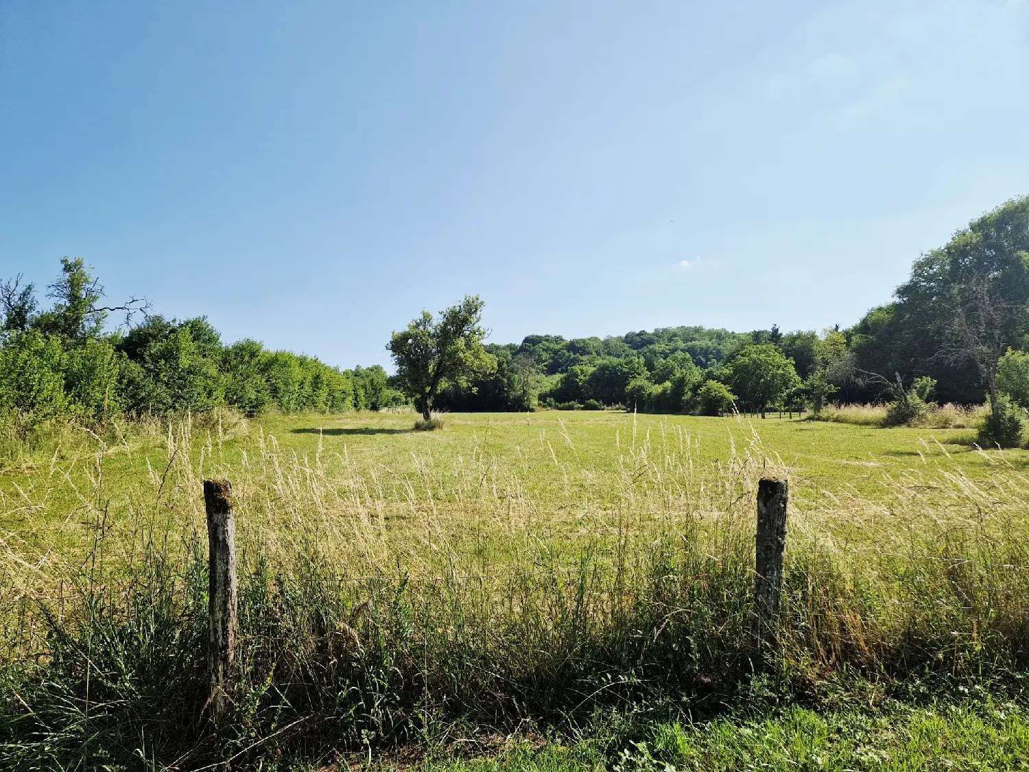  à vendre maison de village Neuvelle-lès-Voisey Haute-Marne 2