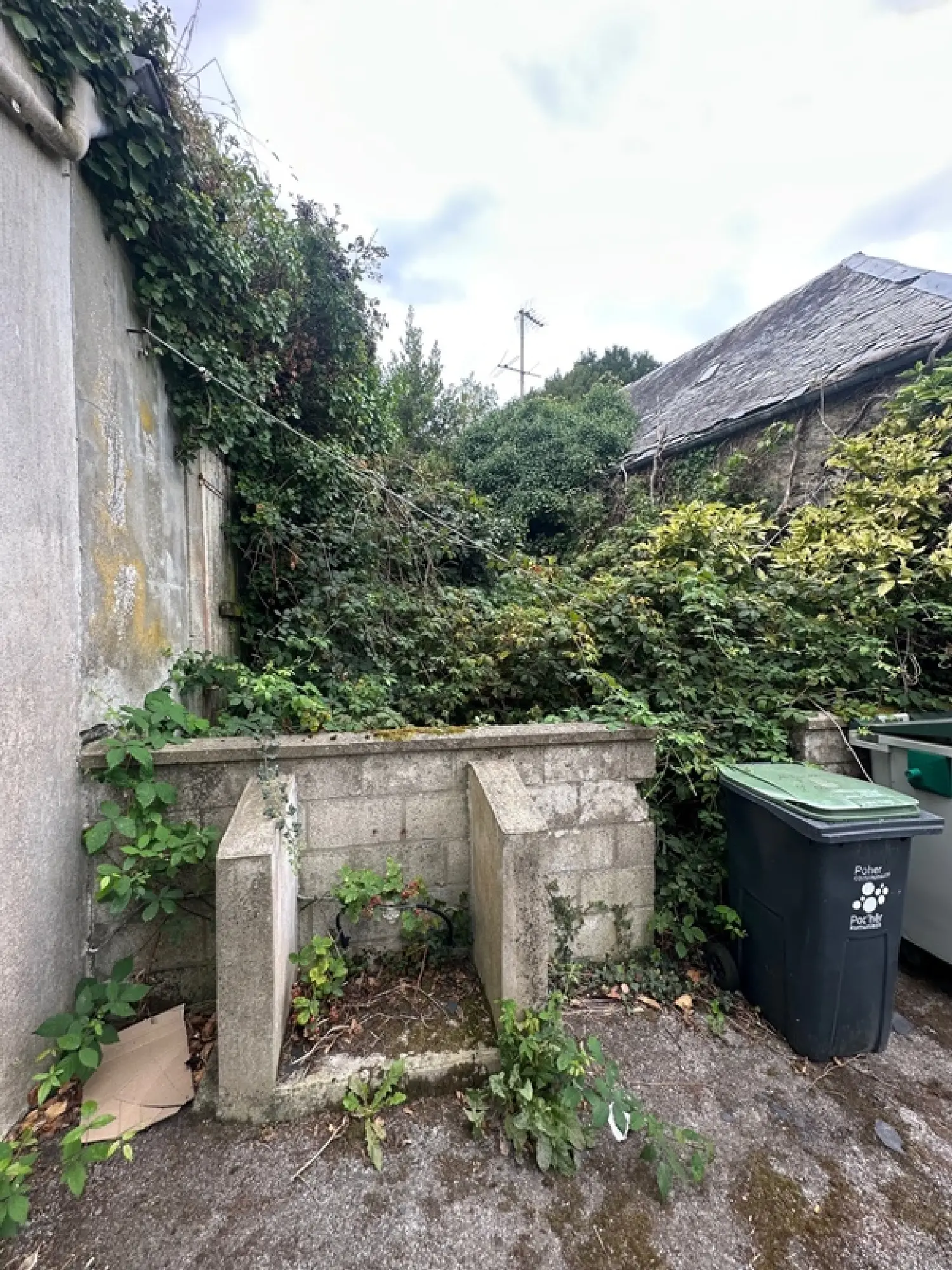  for sale office Carhaix-Plouguer Finistère 2