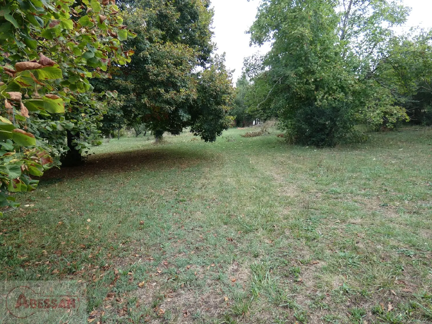  te koop kantoor Cordes-Sur-Ciel Tarn 2