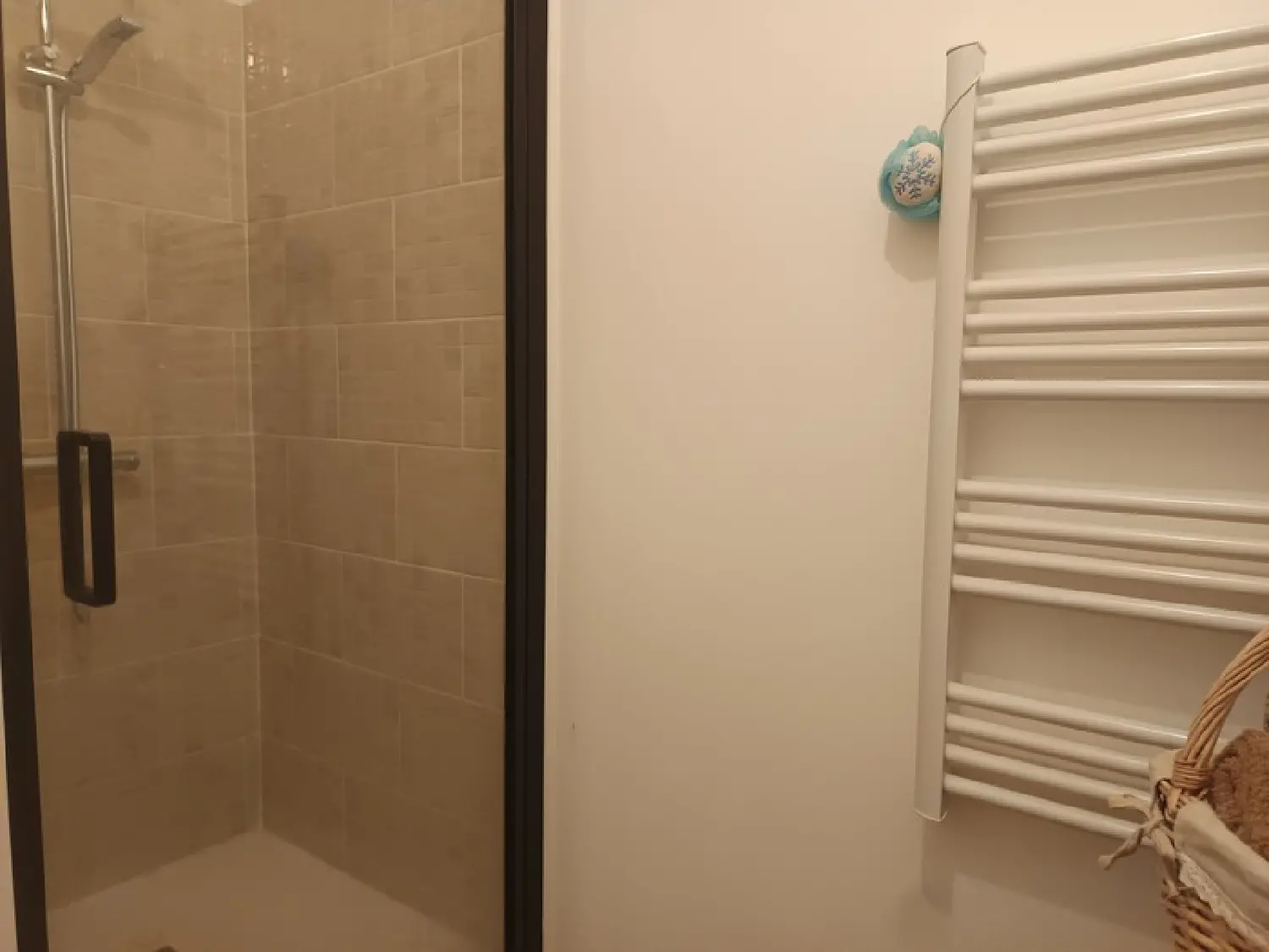  te koop appartement Aire-sur-l'Adour Landes 5