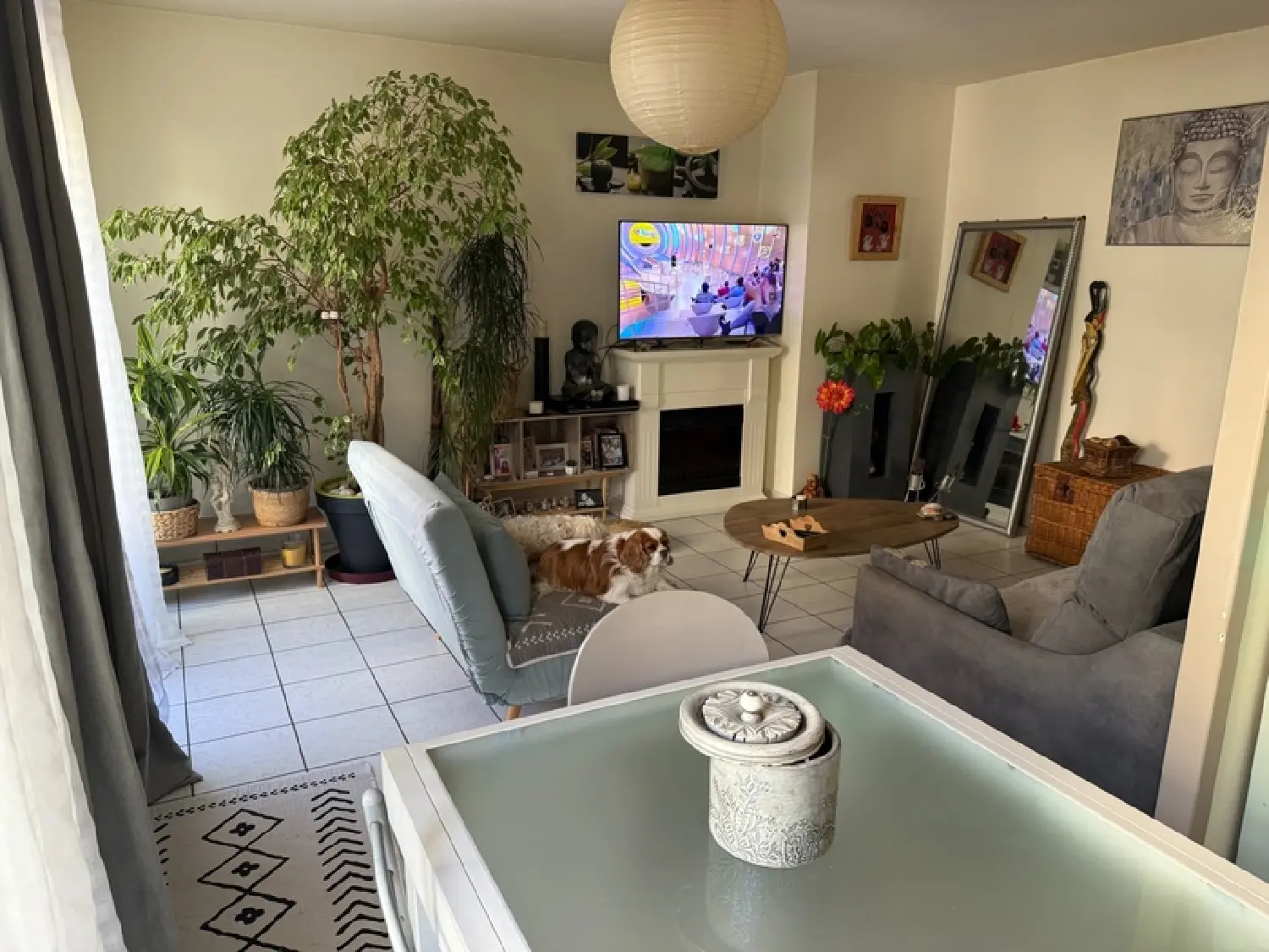  te koop appartement Argelès-Gazost Hautes-Pyrénées 2