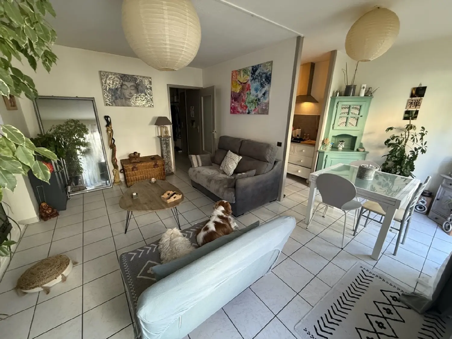  te koop appartement Argelès-Gazost Hautes-Pyrénées 3