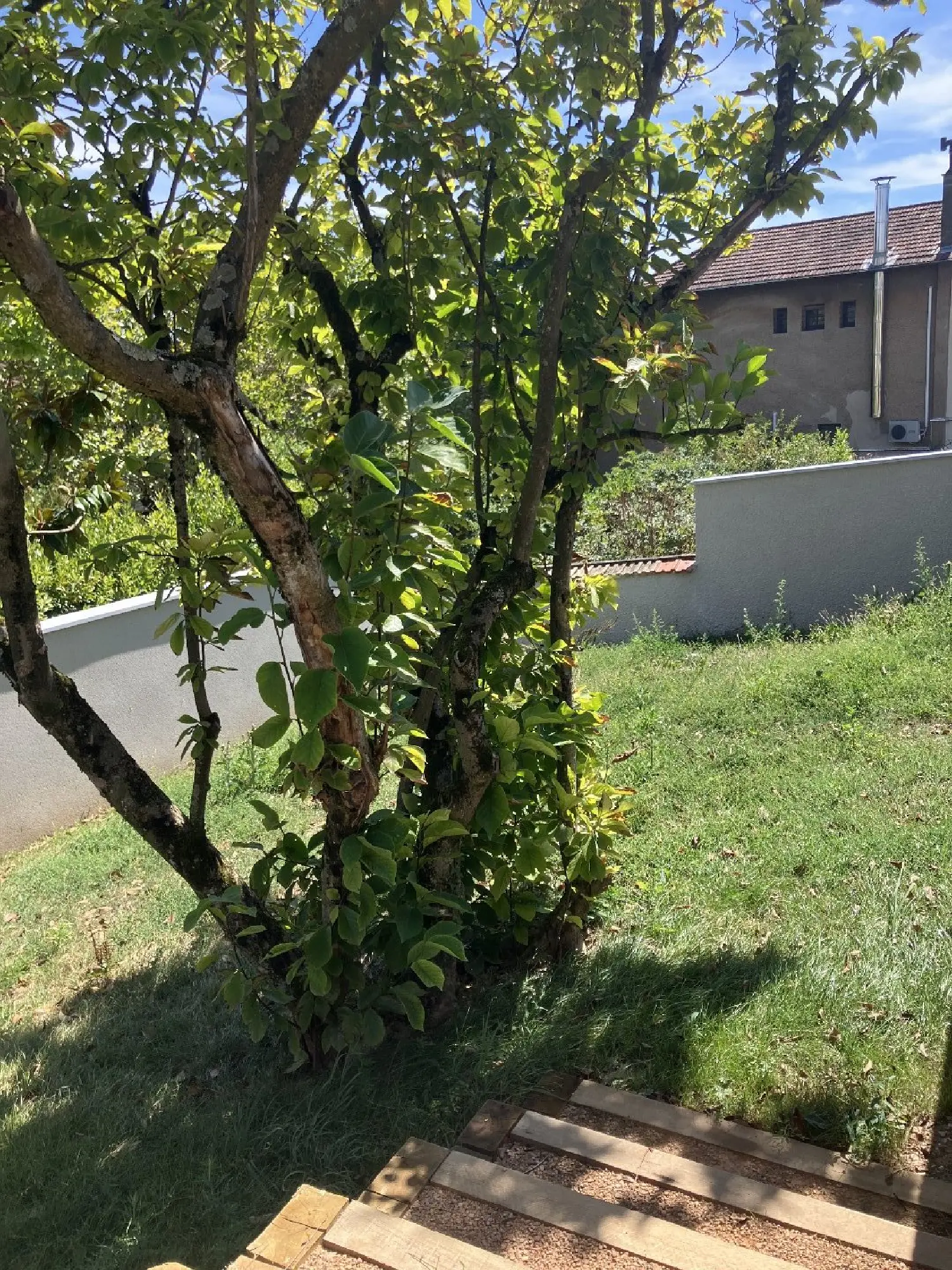  kaufen Wohnung/ Apartment Caluire-et-Cuire Rhône 6