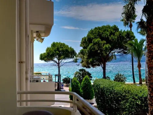 Cannes Alpes-Maritimes Wohnung/ Apartment Bild 7126529