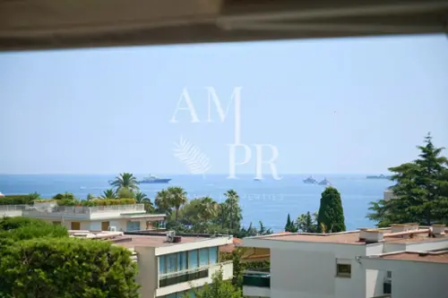 Cannes Alpes-Maritimes appartement foto 7117320