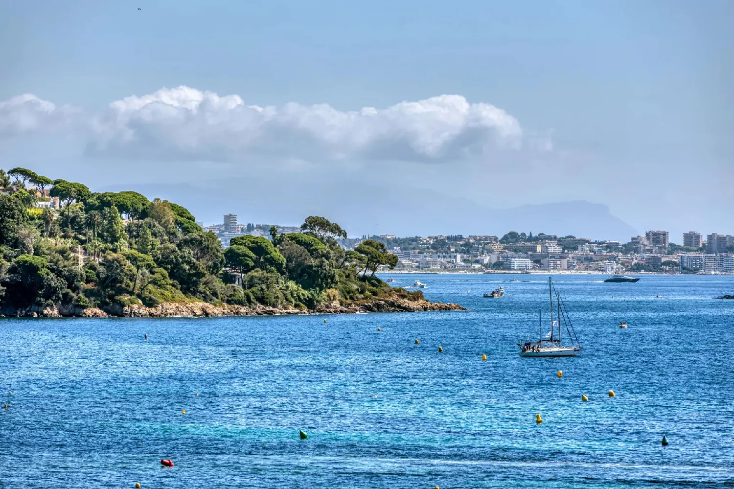  te koop appartement Cannes Alpes-Maritimes 1