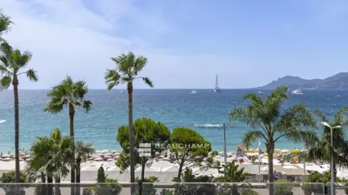 Cannes Alpes-Maritimes Wohnung/ Apartment Bild 7126293