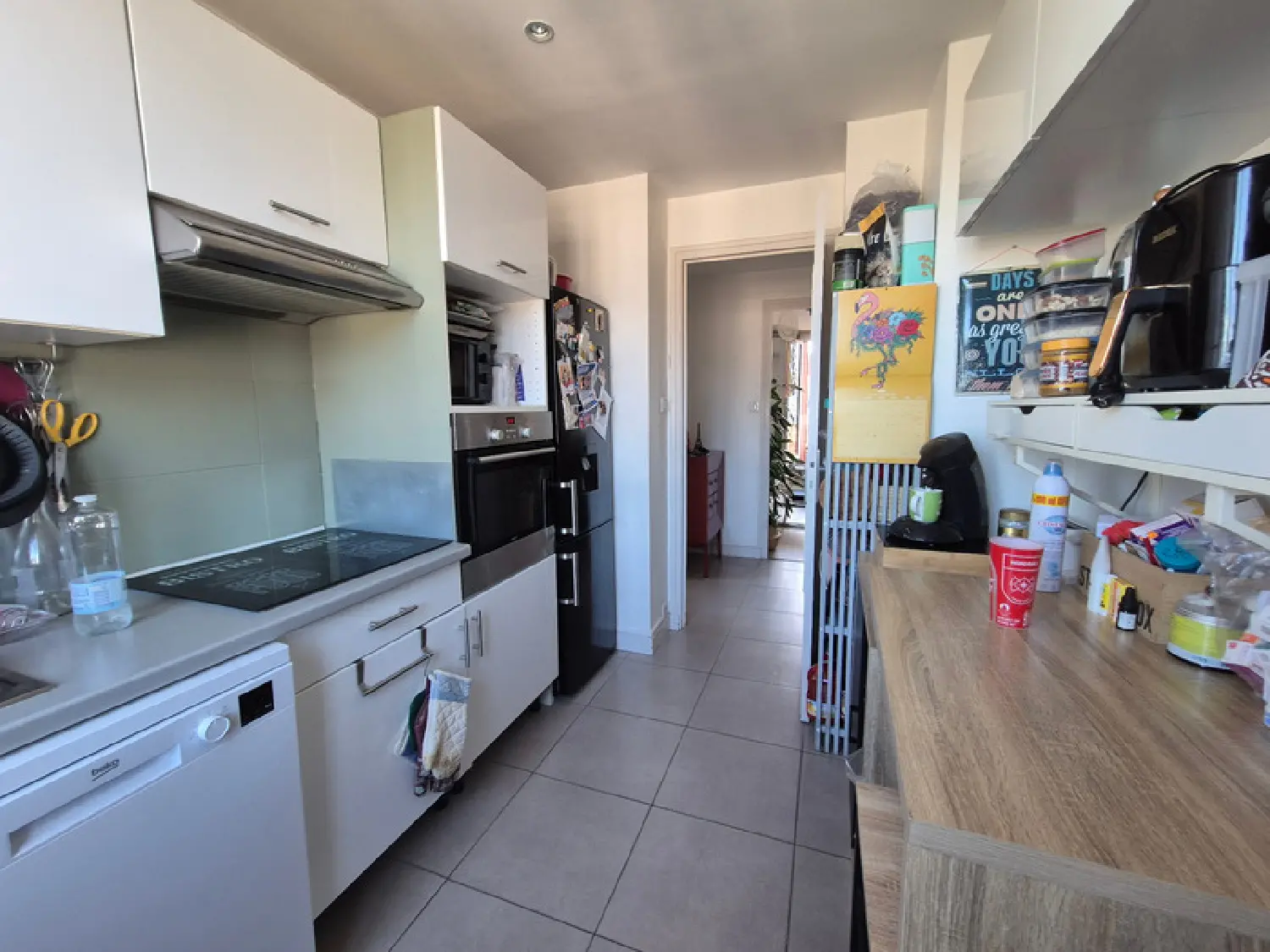  à vendre appartement Grenoble 38100 Isère 2
