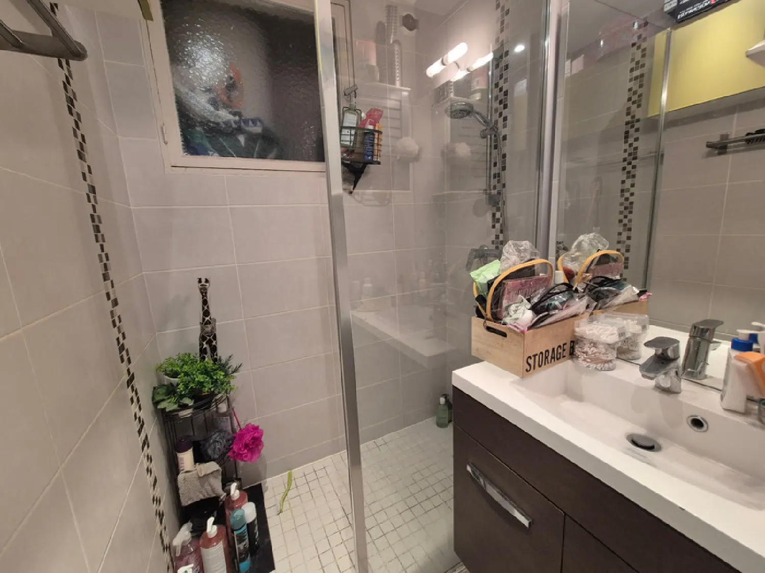  à vendre appartement Grenoble 38100 Isère 5