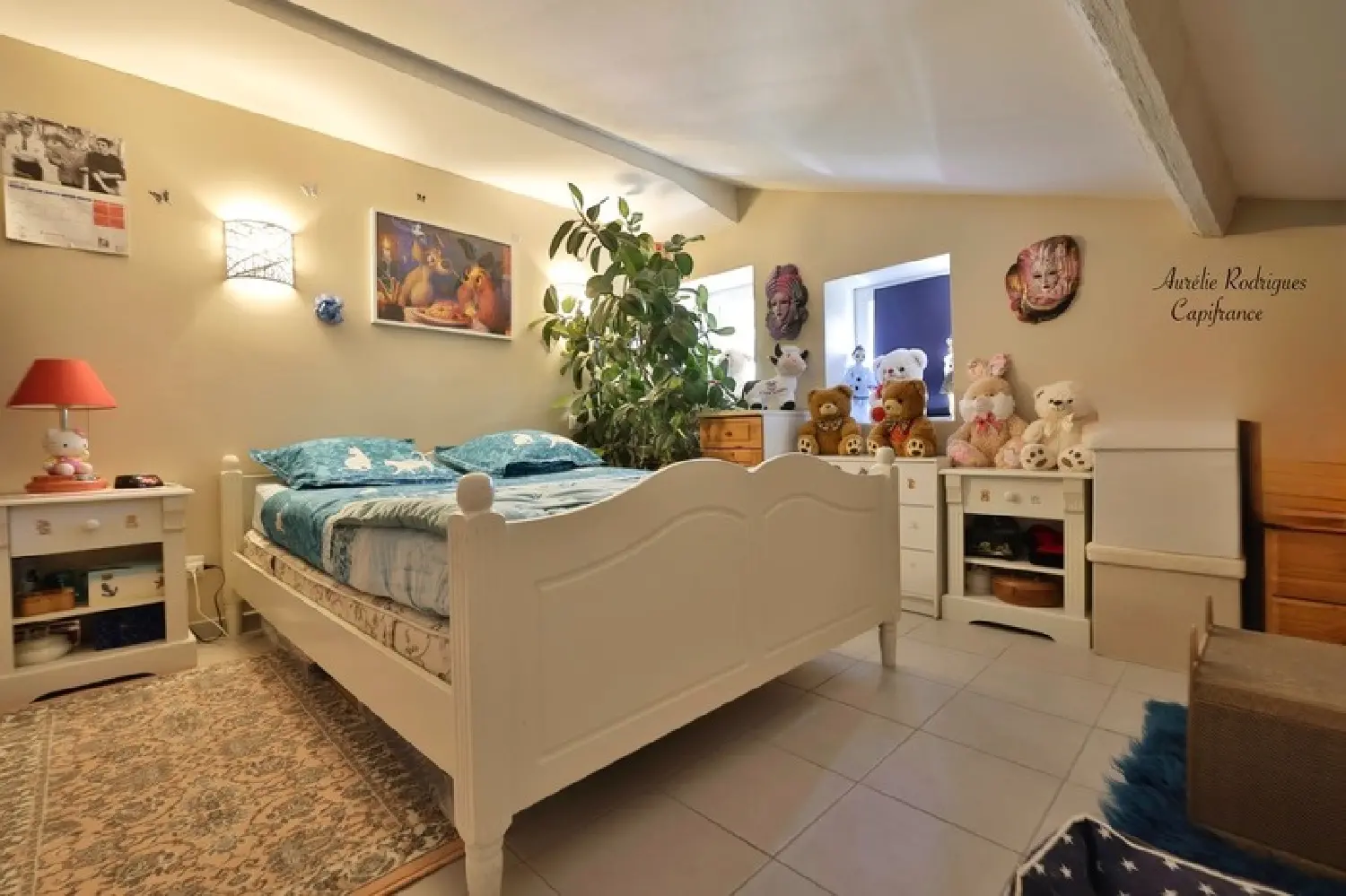  à vendre appartement Jullié Rhône 5