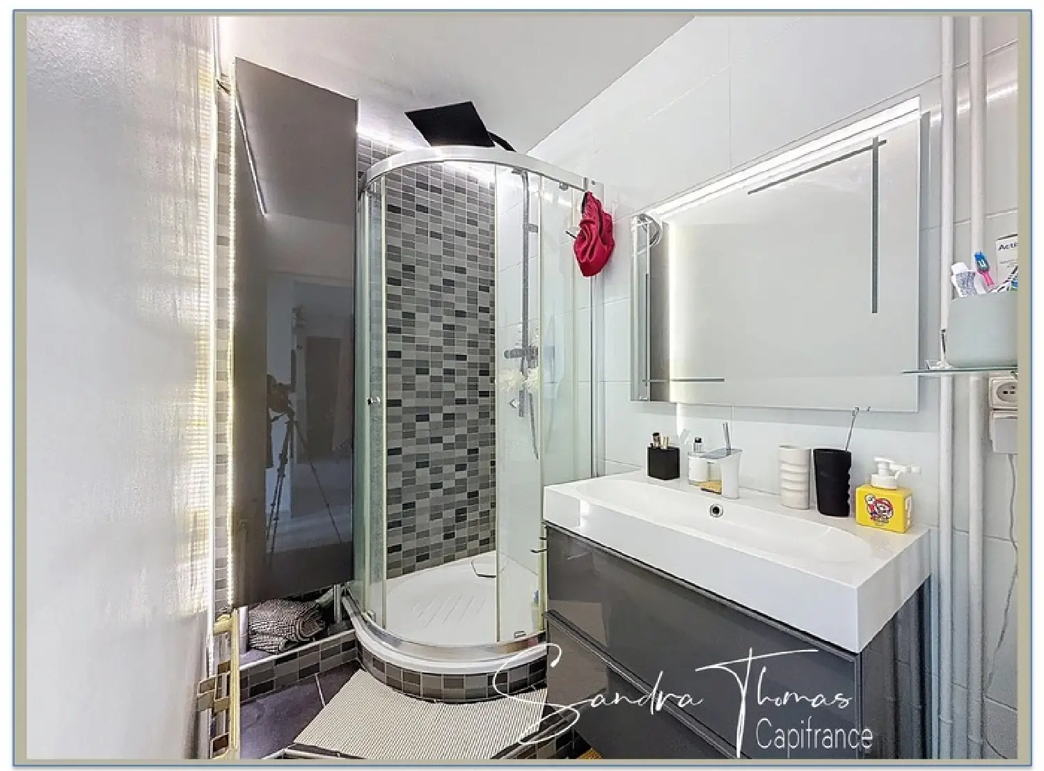  te koop appartement L'Isle-d'Abeau Isère 5
