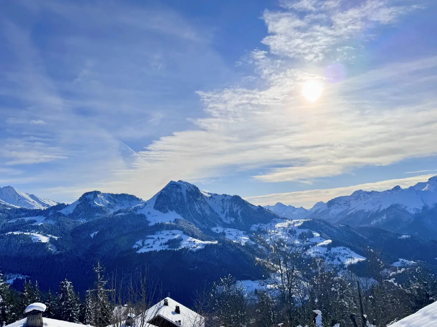  te koop appartement Manigod Haute-Savoie 3