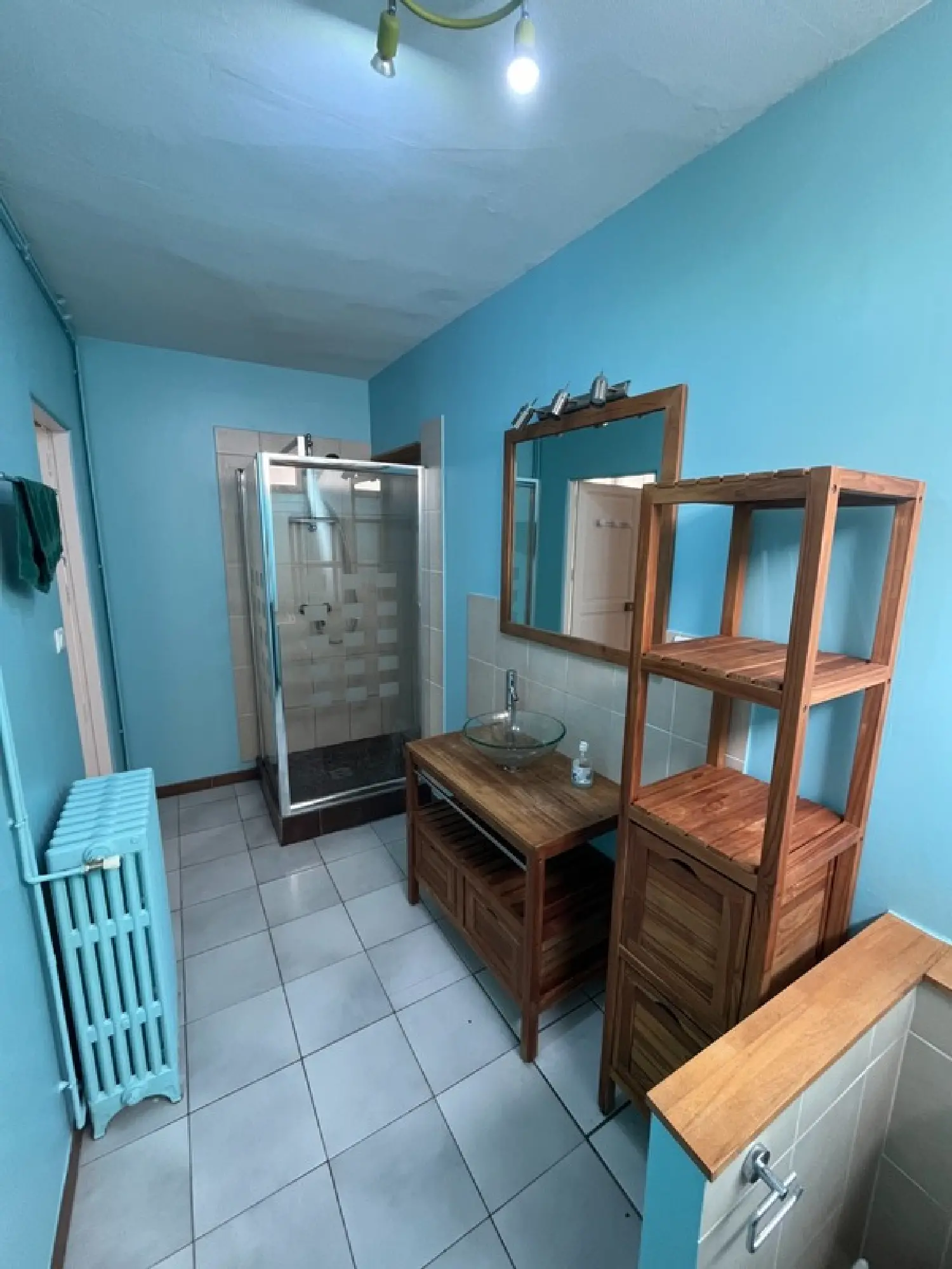  te koop appartement Nancy Meurthe-et-Moselle 8