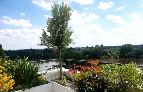 Nantes Loire-Atlantique apartment foto 7127057