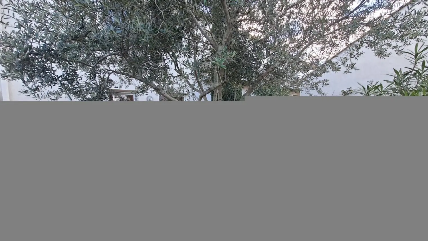  te koop appartement Narbonne Aude 3