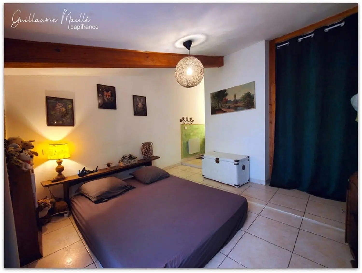  te koop appartement Néffiès Hérault 7