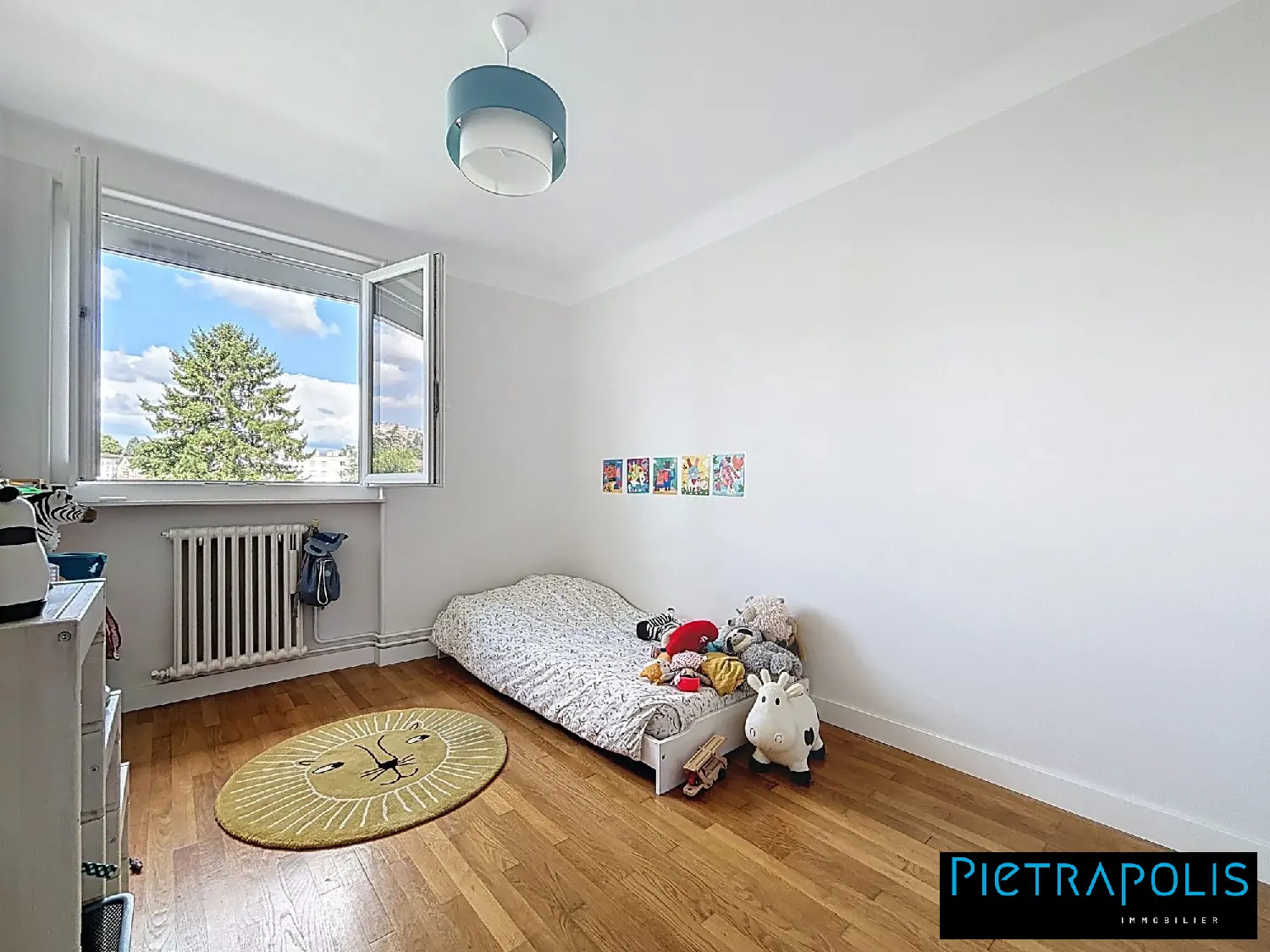  te koop appartement Oullins Rhône 8