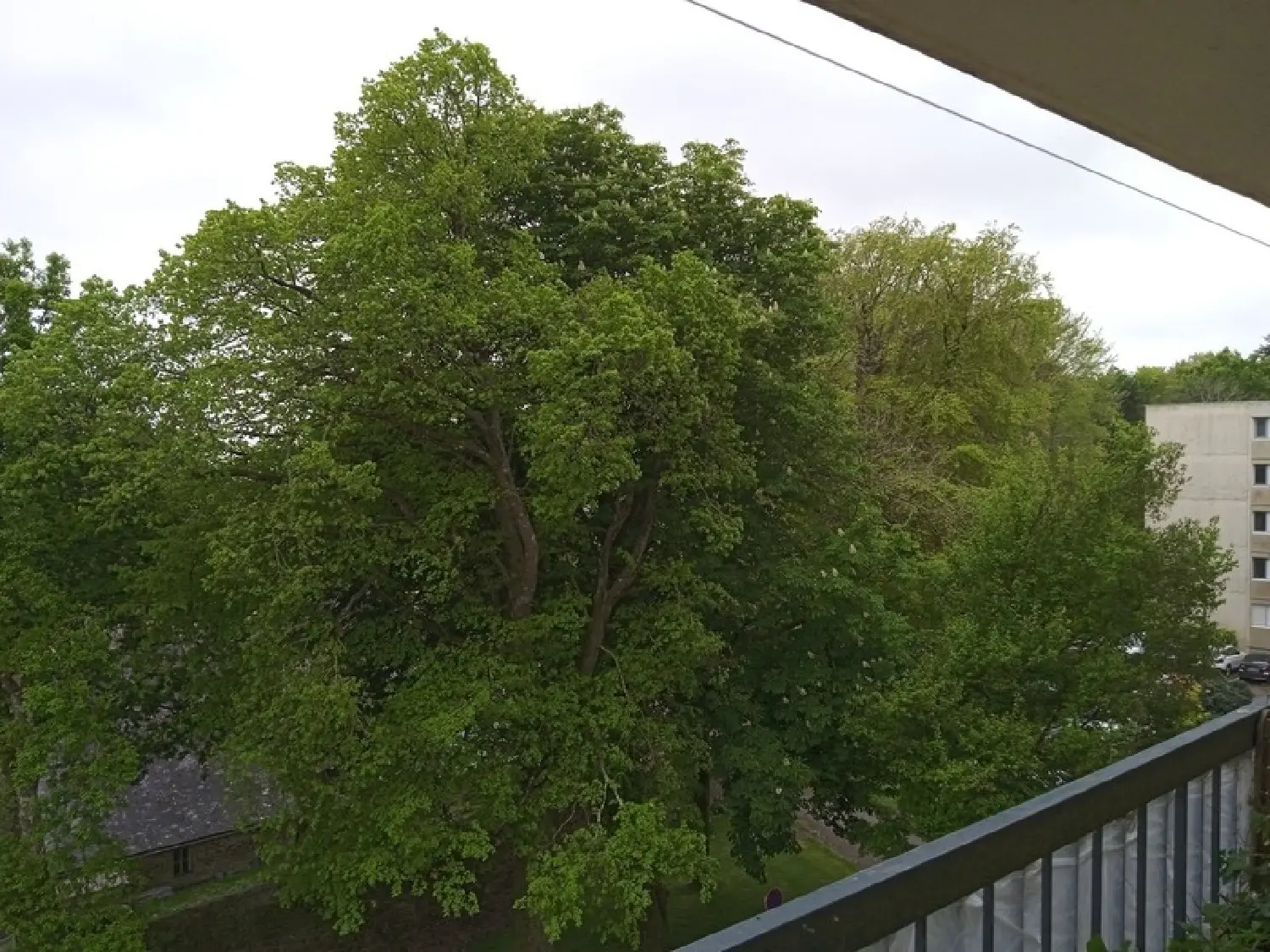  te koop appartement Quimper Finistère 8