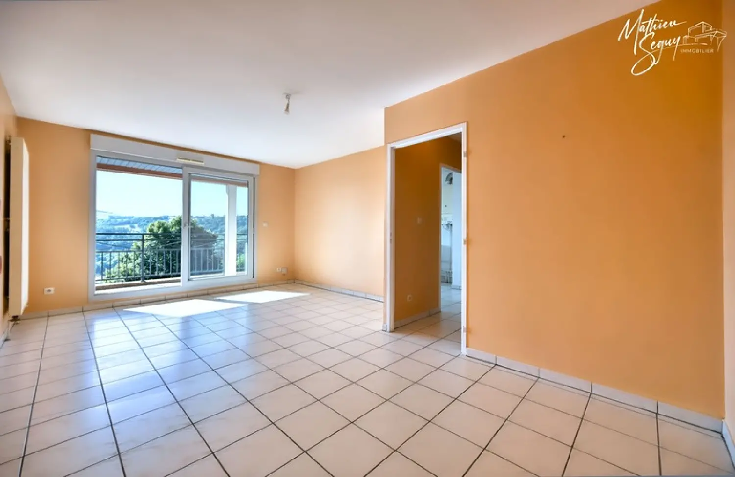 te koop appartement Rontalon Rhône 3