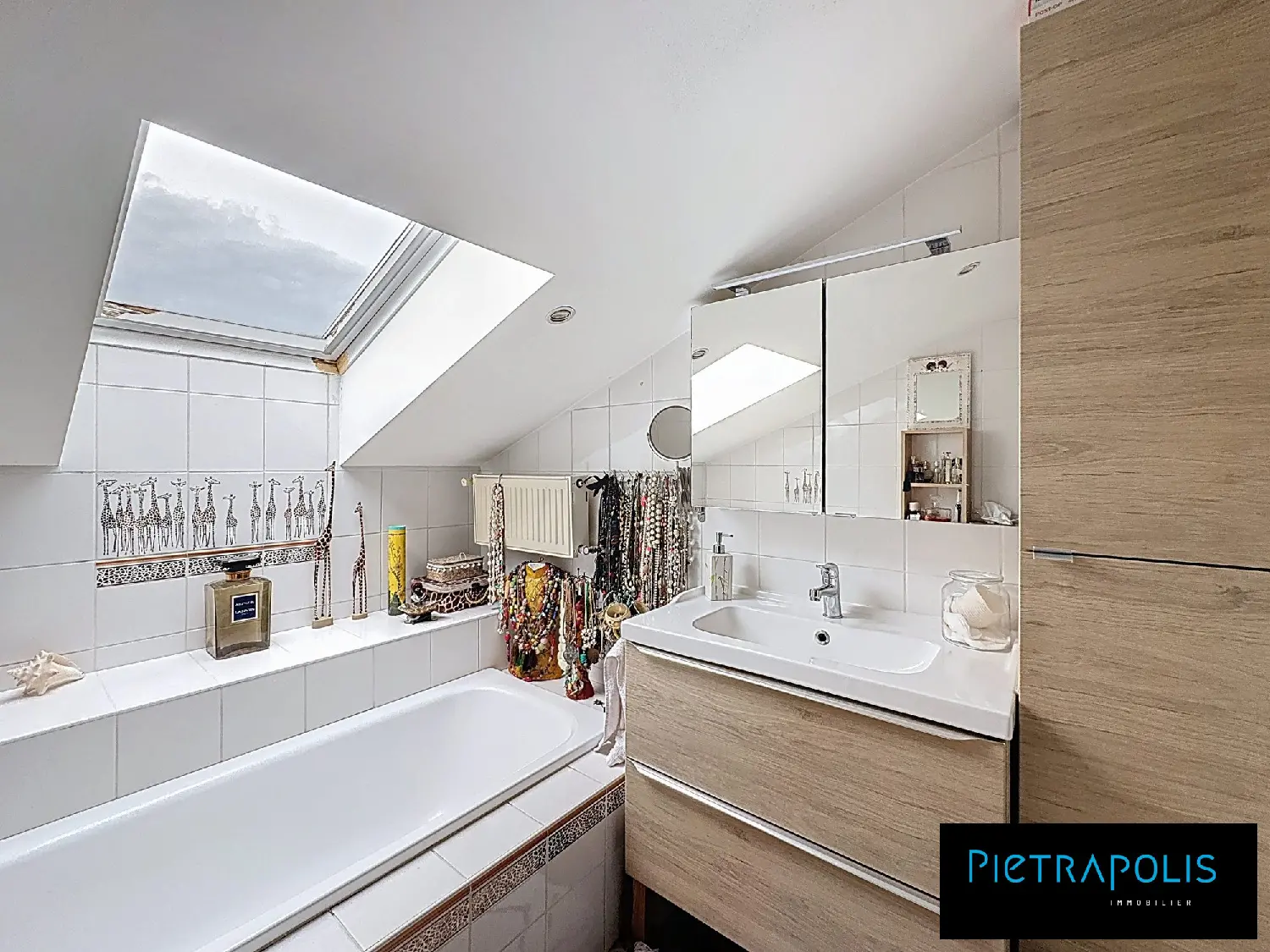  te koop appartement Saint-André-de-Corcy Ain 7