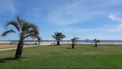 Saint-Cyprien-Plage Pyrénées-Orientales appartement foto 7118343