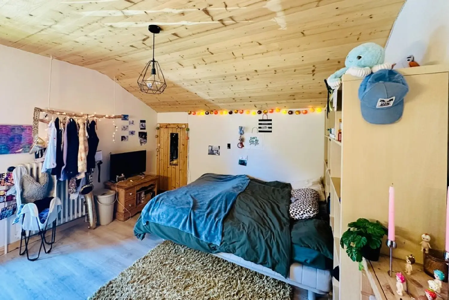  te koop appartement Saint-Jean-de-Sixt Haute-Savoie 4