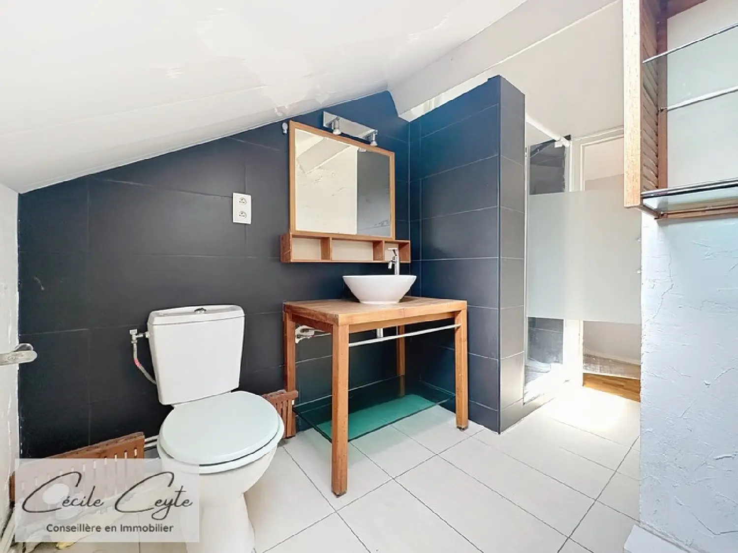  for sale apartment Saint-Martin-d'Uriage Isère 6