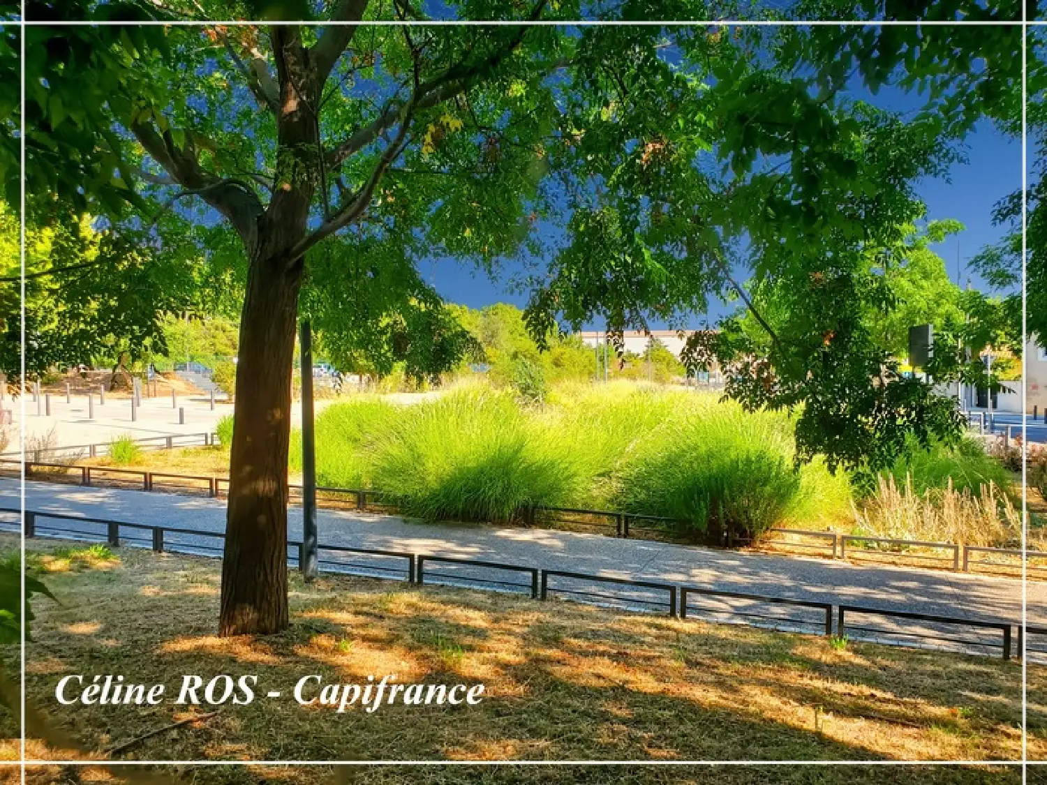  for sale apartment Salon-de-Provence Bouches-du-Rhône 4