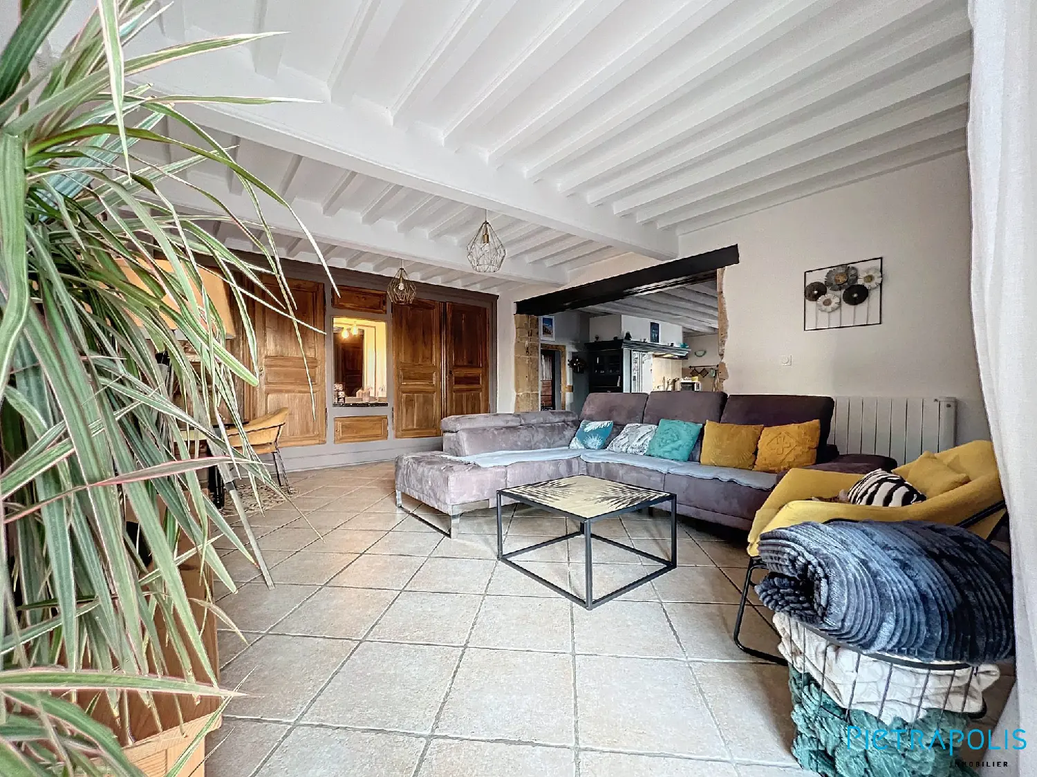  à vendre appartement Sarcey Rhône 7