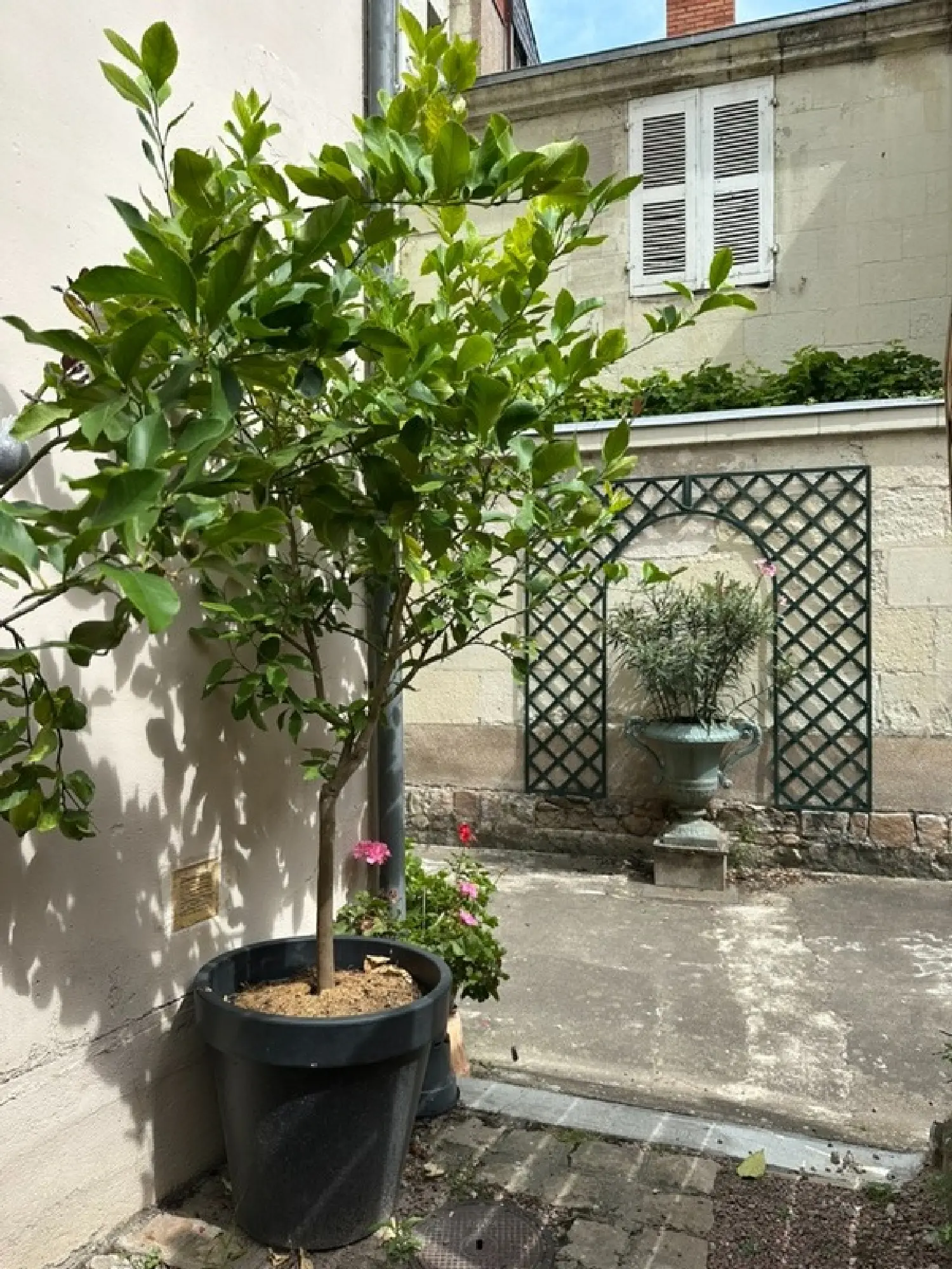  en venta apartamento Saumur Maine-et-Loire 7