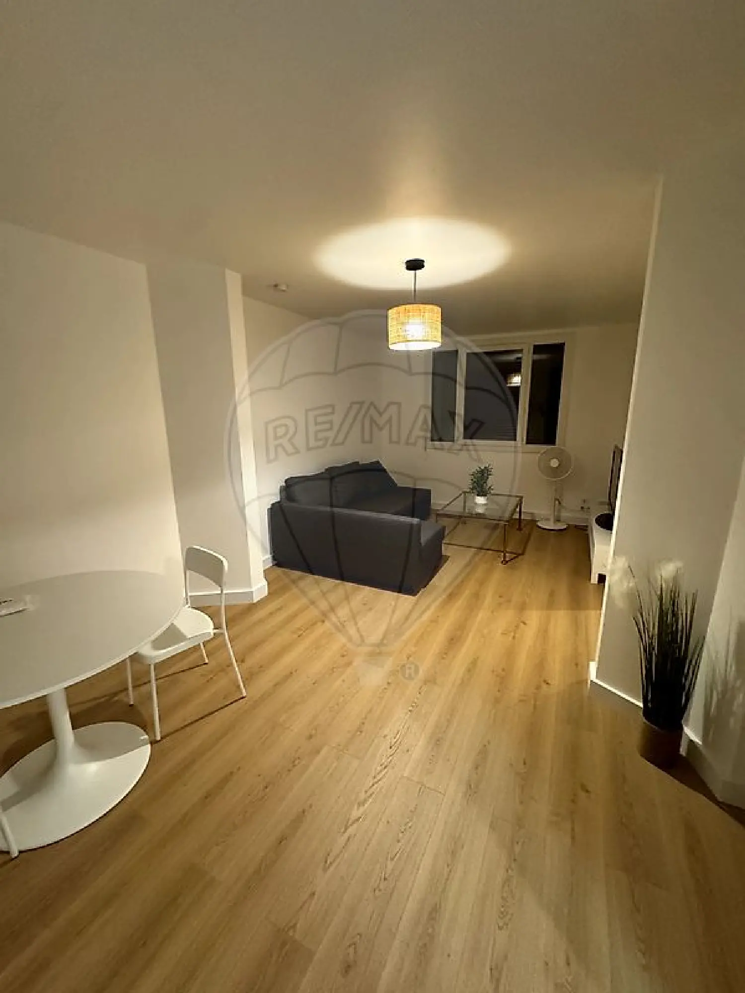  te koop appartement Toulouse 31400 Haute-Garonne 3