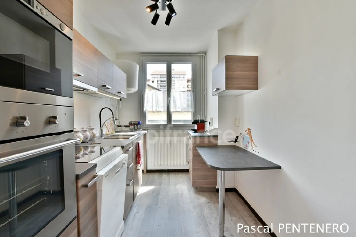  te koop appartement Villeurbanne Rhône 4