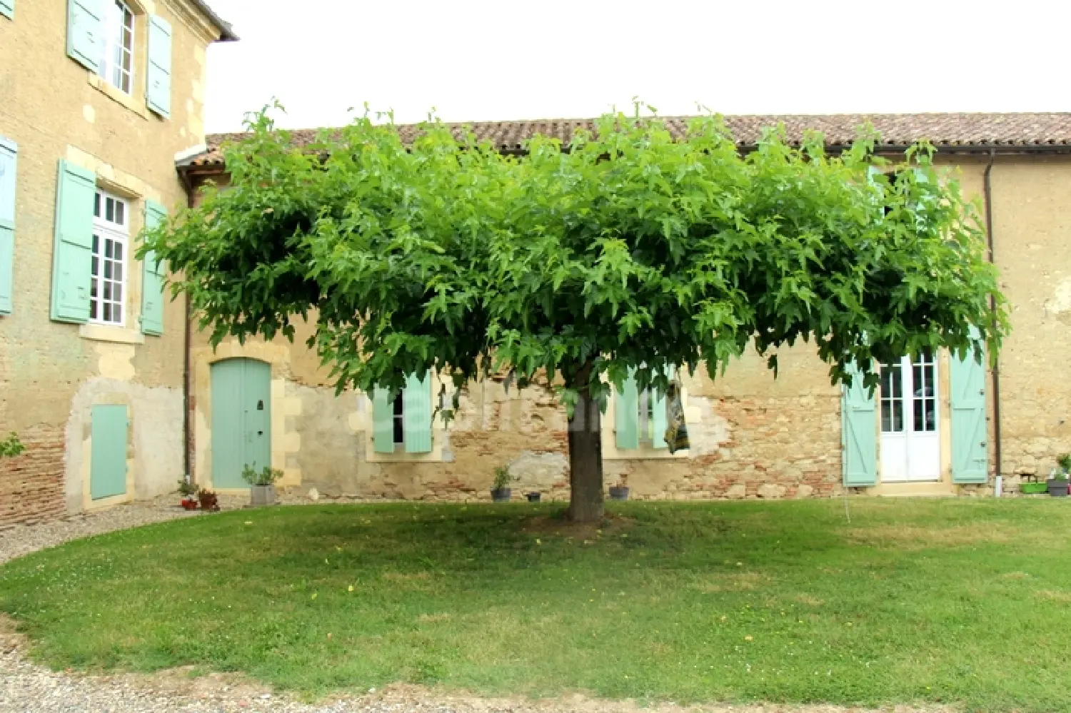  en venta castillo Fleurance Gers 3