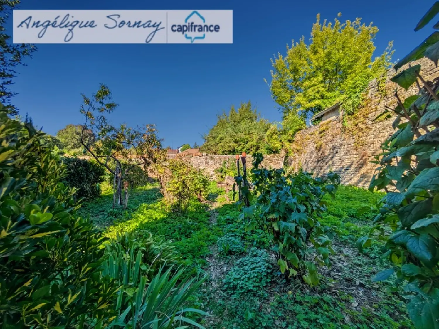  à vendre maison de ville Arbois Jura 2