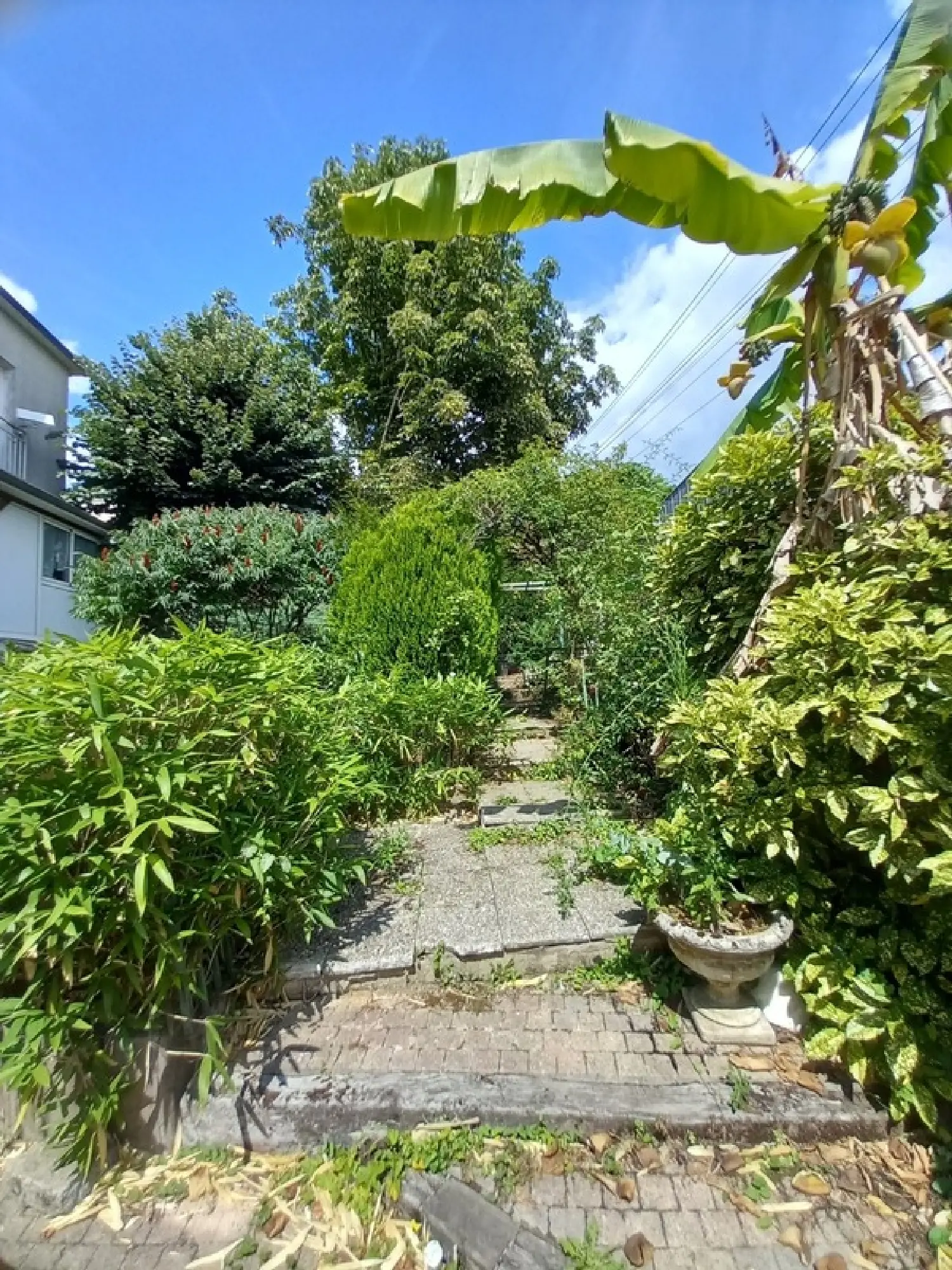  te koop stadshuis Laval Mayenne 2