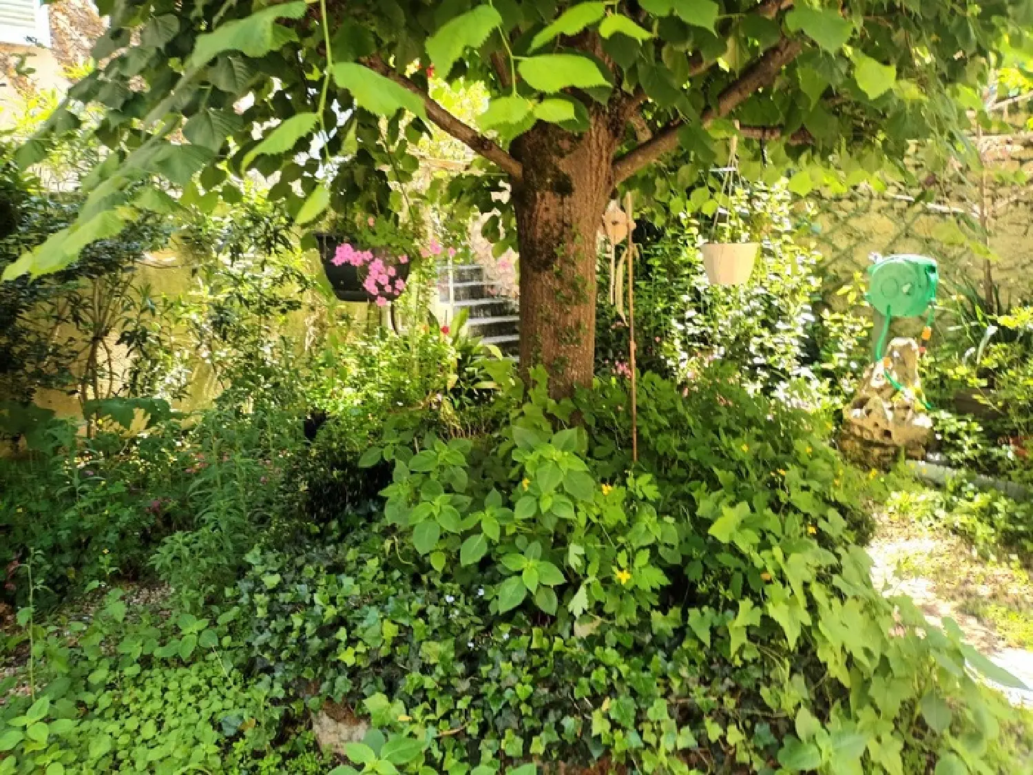 à vendre maison de ville Montmorillon Vienne 3
