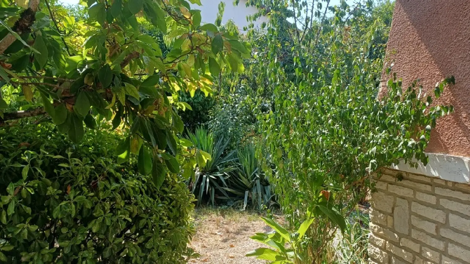  à vendre maison de ville Périgueux Dordogne 5