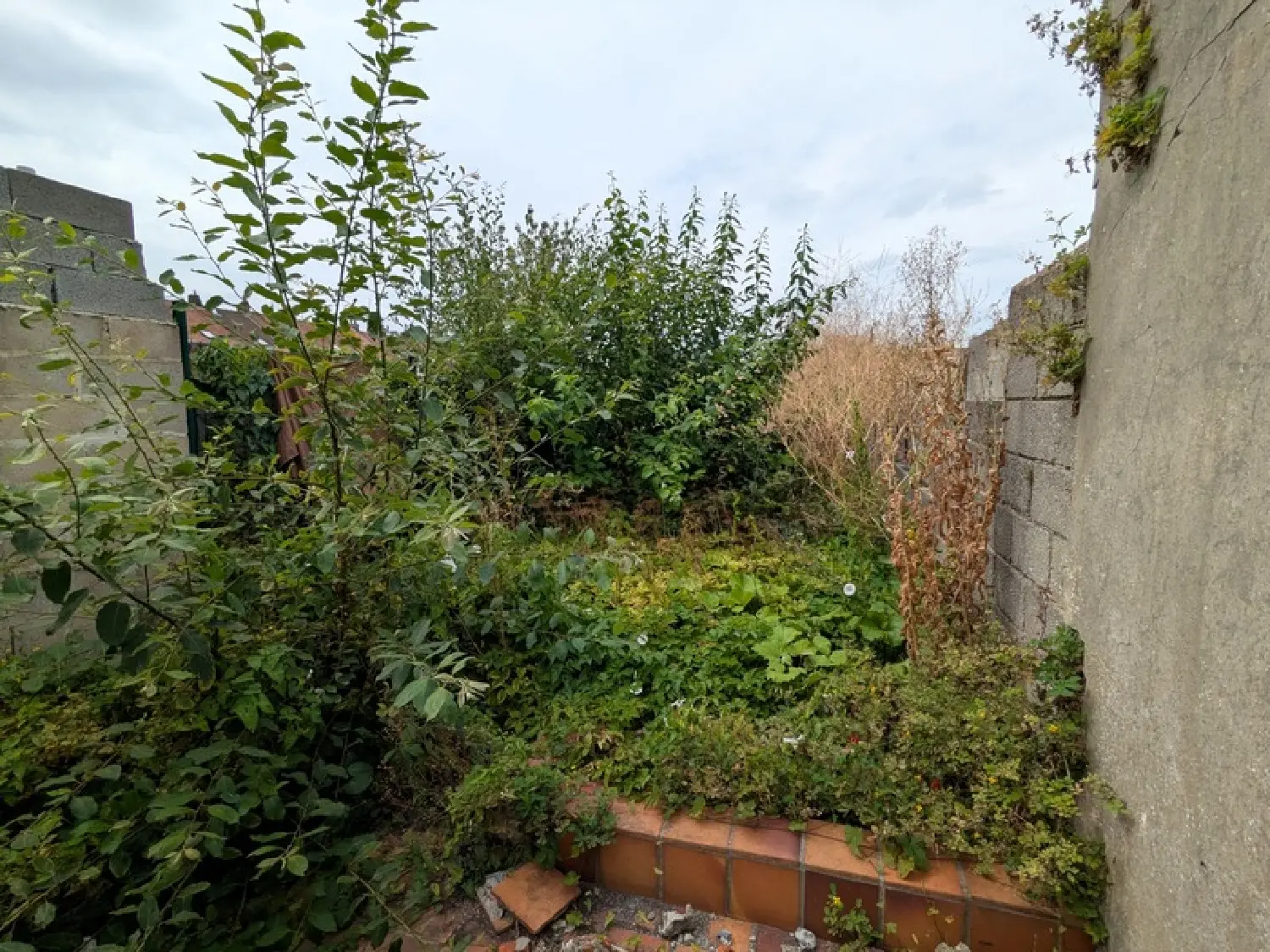  for sale city house Tourcoing Nord 4